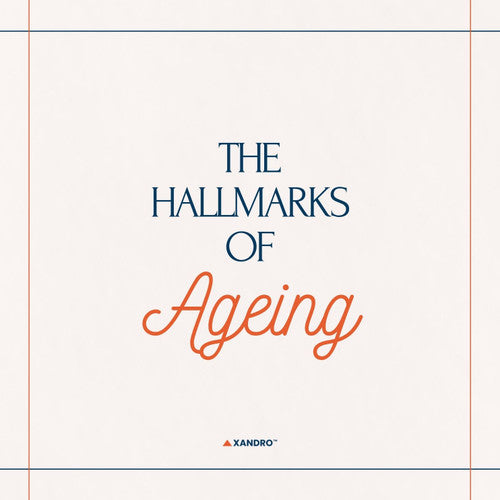 What Are the Hallmarks of Ageing? Key Markers and Their Importance