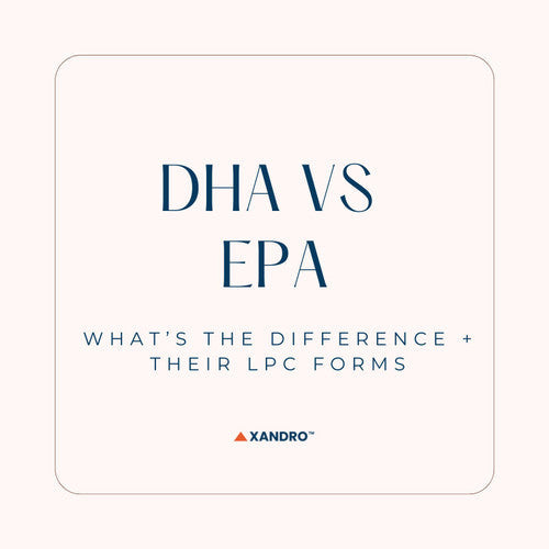 LPC DHA vs EPA: Benefits, Brain Health, Supplements and Sources