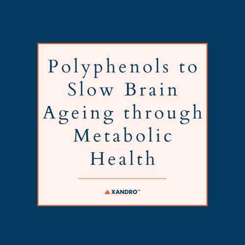 Top Foods High in Polyphenols & Their Brain-Boosting Benefits
