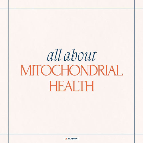 How can I improve my mitochondrial health?