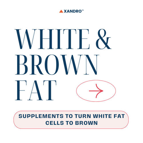 All About Activating Brown Fat Cells and Weight Loss!