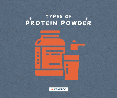 What is the Difference Between Types of Protein Powder?