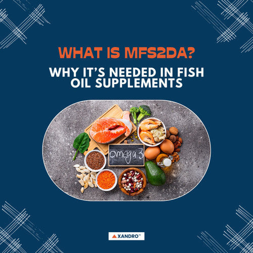 What’s Mfs2da? Function, Protein, Transporter & Omega-3 Role