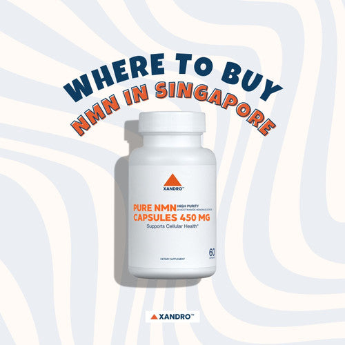 Where to Buy NMN Supplements in Singapore: Local Stores and Brands