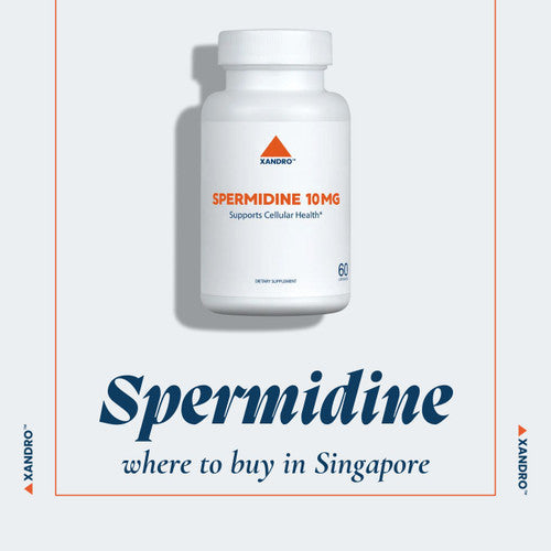 Where to Buy Spermidine Supplements in Singapore: Stores and Brands