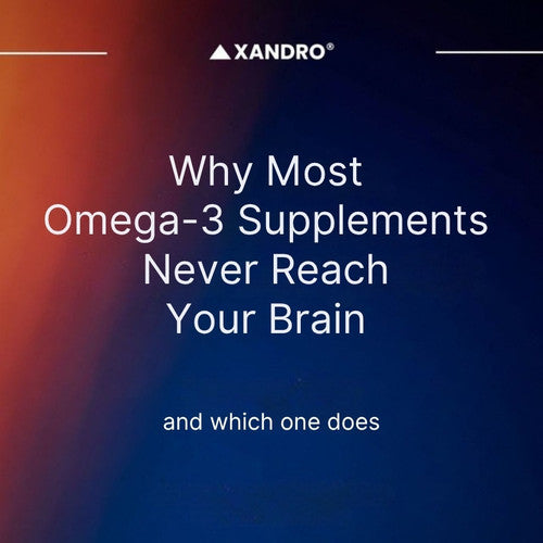 Why Most Omega-3 Supplements Never Reach Your Brain