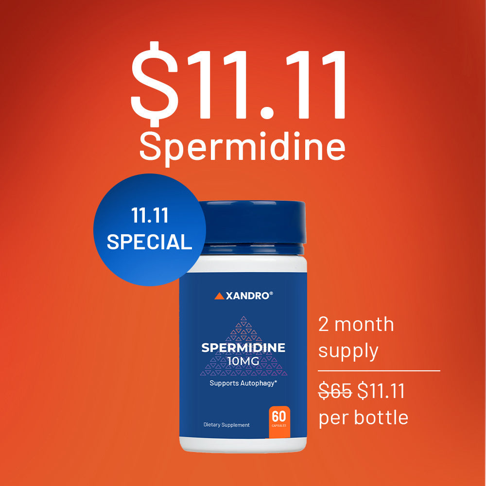 SPERMIDIN – Zellreinigung & Erneuerung