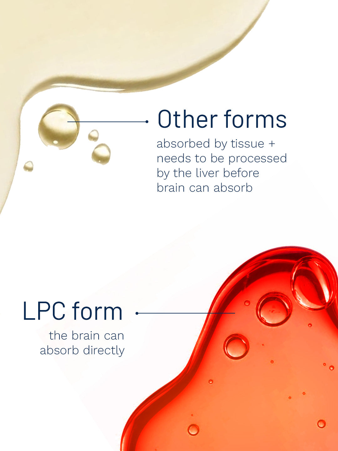 LPC NEURO - Brain-Ready Omega-3