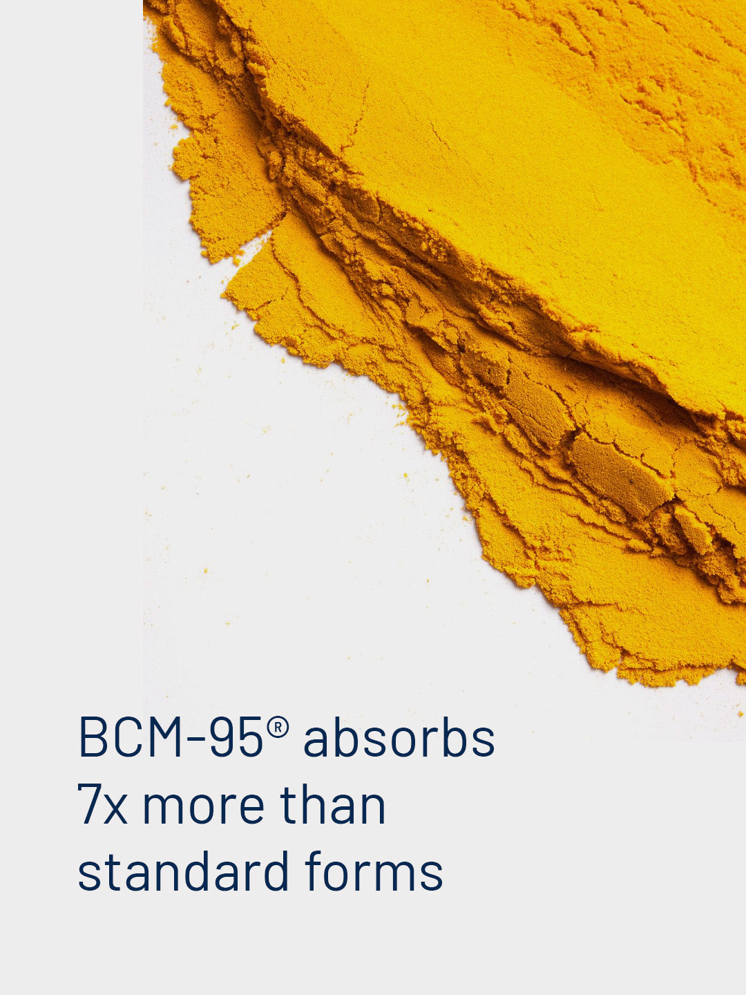 BCM-95® Turmeric Curcumin – High-Absorption Turmeric