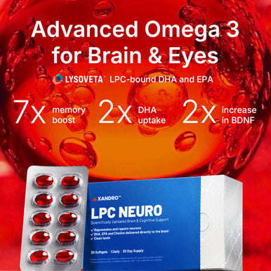 12x LPC Neuro