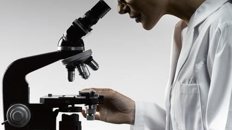 Science at XANDRO