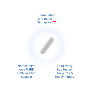 12x Pure NMN 500 MG