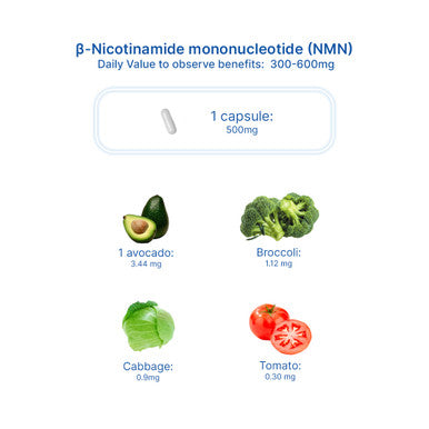 12x Pure NMN 500 MG