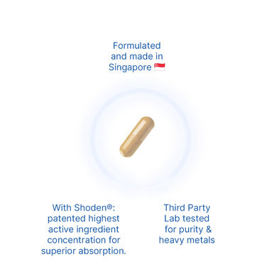 12x Shoden® Ashwagandha 120 mg
