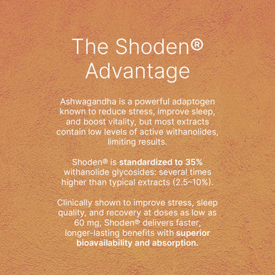 12x Shoden® Ashwagandha 120 mg