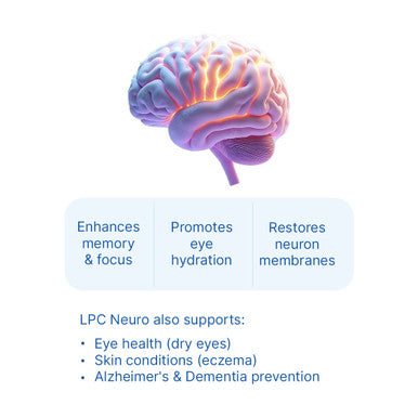 12x LPC Neuro