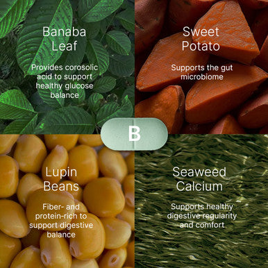 LXP - Korean Botanical Formula
