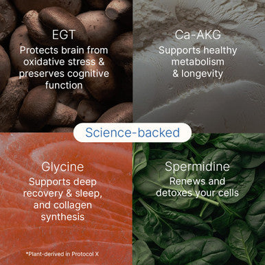 12x Protocol X® V3