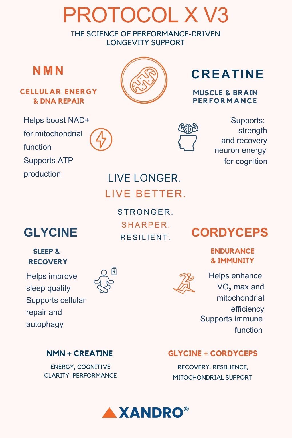 Protocol X® V3 supports energy, recovery, cognition, and resilience for high-performance longevity